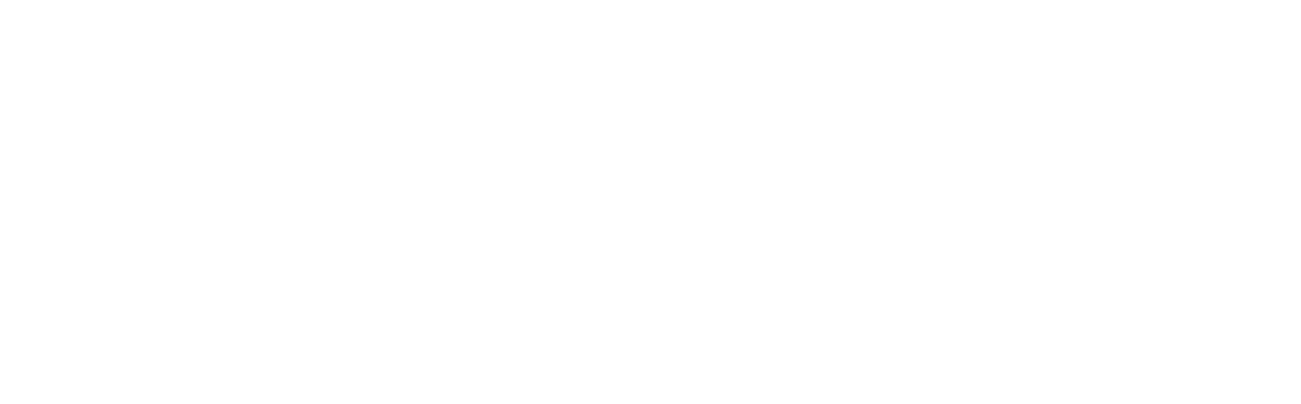 logo1