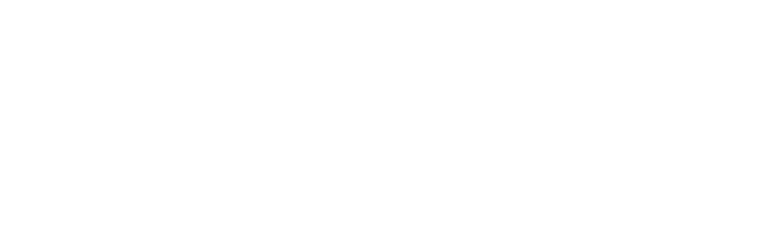 logo2