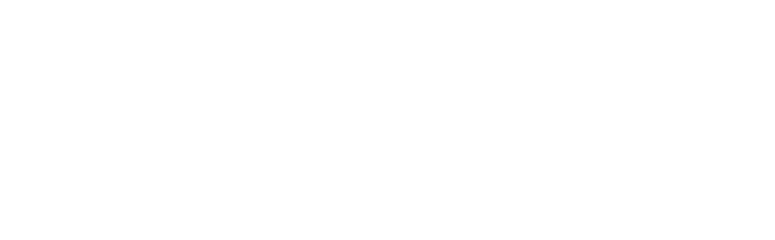 logo3