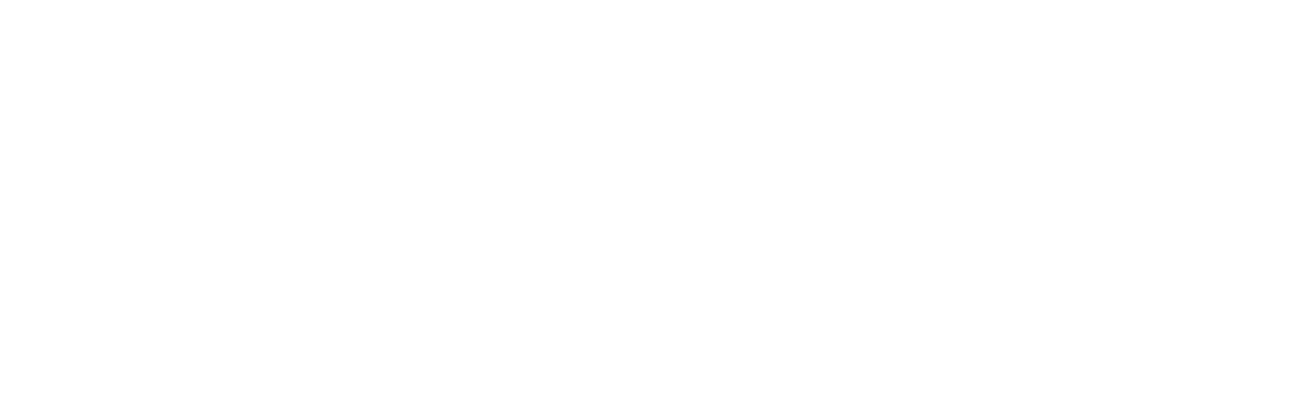 logo4